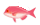 あまだい