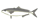 ぶり