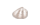 はまぐり