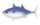 かつお