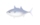 かつお