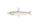 きす