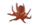 まだこ