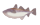 まだら