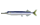 さより