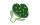 ブロッコリー