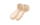 まつたけ