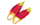 みょうが