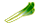 ねぎ