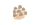 しめじ