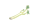 うど