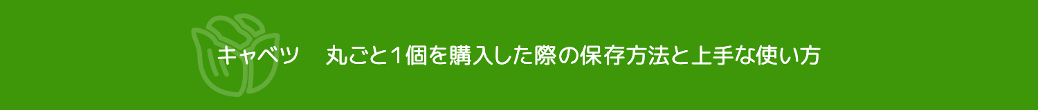 キャベツ　丸ごと１個を購入した際の保存方法と上手な使い方
