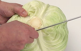 葉の取り方