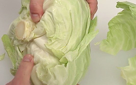 葉の取り方