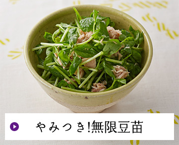 やみつき!無限豆苗