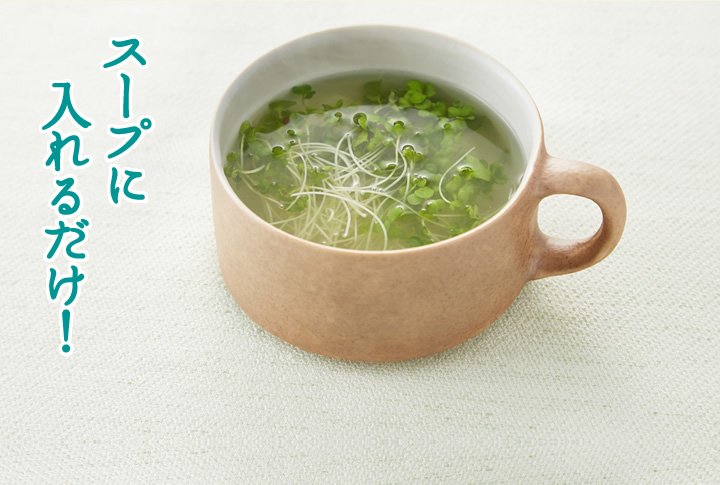 スープに入れるだけ！