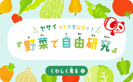 野菜で自由研究