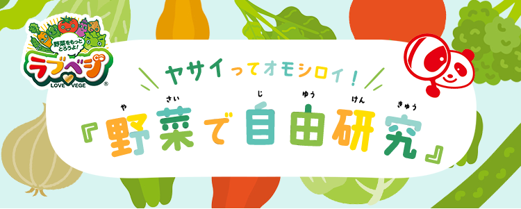 野菜で自由研究