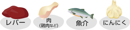 レバー、肉、魚介、にんにく