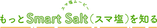 もっとSmart Salt(スマ塩)を知る