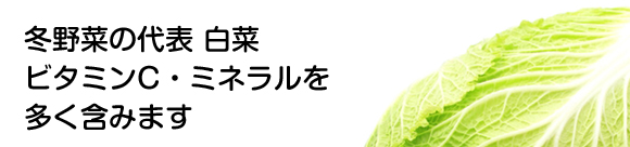 冬野菜の代表 白菜ビタミンC・ミネラルを多く含みます