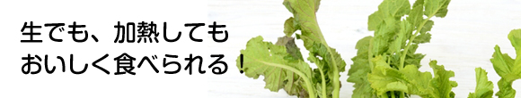 生でも、加熱してもおいしく食べられる！