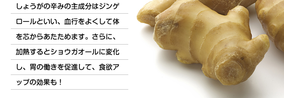 しょうがの辛みの主成分はジンゲロールといい、血行をよくして体を芯からあたためます。さらに、加熱するとショウガオールに変化し、胃の働きを促進して、食欲アップの効果も！