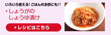 おすすめメニュー：しょうがのしょうゆ漬け