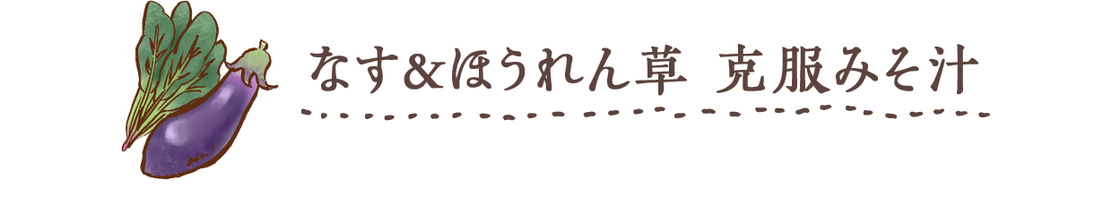 なす＆ほうれん草 克服みそ汁