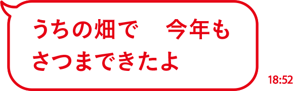 うちの畑で　今年もさつまできたよ