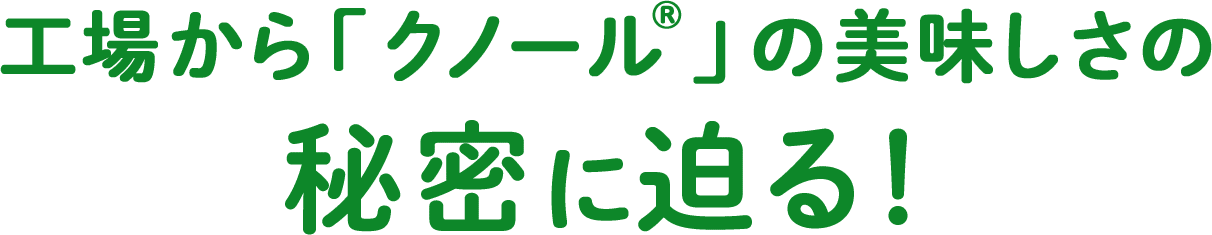 工場からクノール®の美味しさの秘密に迫る！