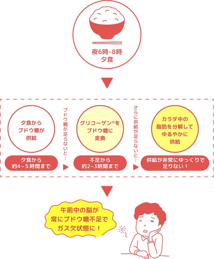 夜6時-8時 夕食 | 夕食からブドウ糖が供給 夕食から約4〜5時間まで | ブドウ糖が足らないと… | グリコーゲン※をブドウ糖に変換 不足から約2〜3時間まで | さらに供給が足らないと… | カラダ中の脂肪を分解してゆるやかに供給 供給が非常にゆっくりで足らない! | 午前中の脳が常にブドウ糖不足でガス欠状態に!