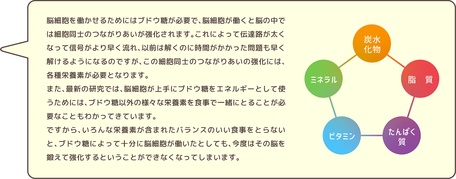 脳細胞を働かせるためにはブドウ糖が必要で、脳細胞が働くと脳の中では細胞同士のつながりあいが強化されます。これによって伝達路が太くなって信号がより早く流れ、以前は解くのに時間がかかった問題も早く解けるようになるのですが、この細胞同士のつながりあいの強化には、各種栄養素が必要となります。また、最新の研究では、脳細胞が上手にブドウ糖をエネルギーとして使うためには、ブドウ糖以外の様々な栄養素を食事で一緒にとることが必要なこともわかってきています。ですから、いろんな栄養素が含まれたバランスのいい食事をとらないと、ブドウ糖によって十分に脳細胞が働いたとしても、今度はその脳を鍛えて強化するということができなくなってしまいます。