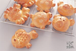 動物パン(カメ)