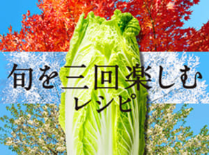 白菜