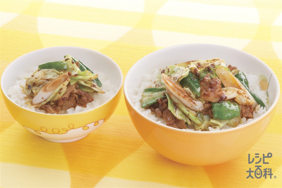 回鍋肉ライス(ご飯+キャベツを使ったレシピ)