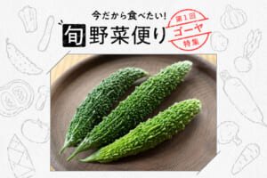 旬野菜便り♪ゴーヤをまるごとおいしく使い切り！