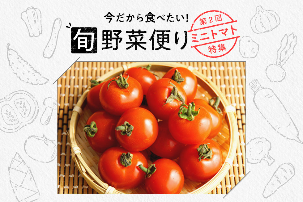 旬野菜便り♪添え物だけじゃない！ミニトマトの活用術