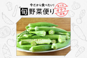 旬野菜だより♪ネバネバを楽しもう☆オクラの魅力を解説
