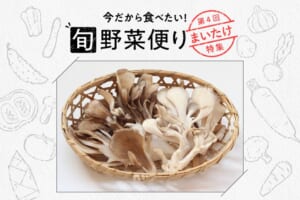 旬野菜便り♪香りと食感が魅力☆まいたけを使いこなそう