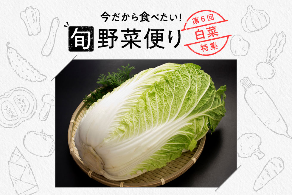 旬野菜便り♪丸ごと味わい尽くす！白菜使いこなし術