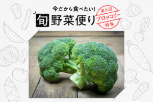 旬野菜便り♪ブロッコリーのおいしさをまるごと味わう☆使い切り活用術