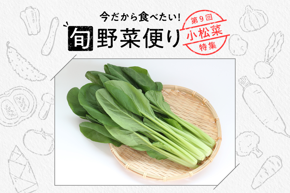 旬野菜便り♪冬に甘みUP！旬の小松菜をおいしく食べよう☆