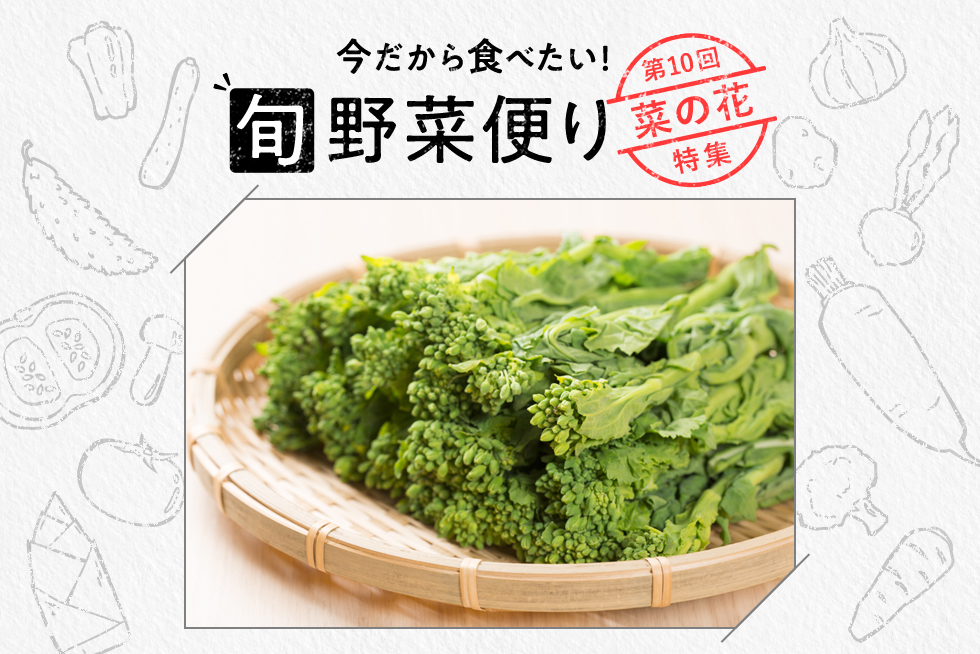 旬野菜便り 春野菜の代表 菜の花の魅力をご紹介 味の素パーク たべる楽しさを もっと