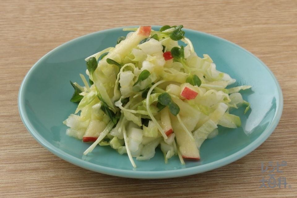 白菜とりんごのシャキシャキサラダ(白菜+りんごを使ったレシピ)