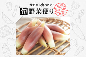 旬野菜便り♪ みょうがの切り方＆食べ方！夏こそ香味野菜を