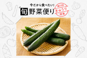 旬野菜便り♪きゅうりの切り方と保存術◎切り方別おすすめレシピも！