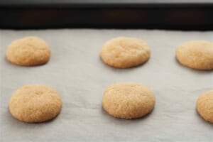 ほろほろクッキーの作り方_6_3