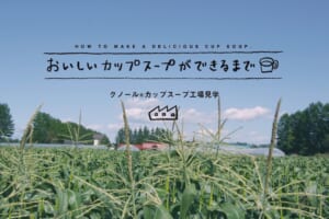 おうちで工場見学！おいしいカップスープができるまで
