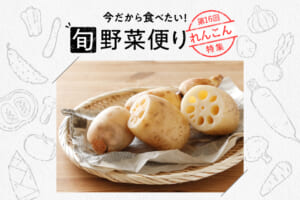 旬野菜便り♪食感が楽しい！旬のれんこんを味わおう☆